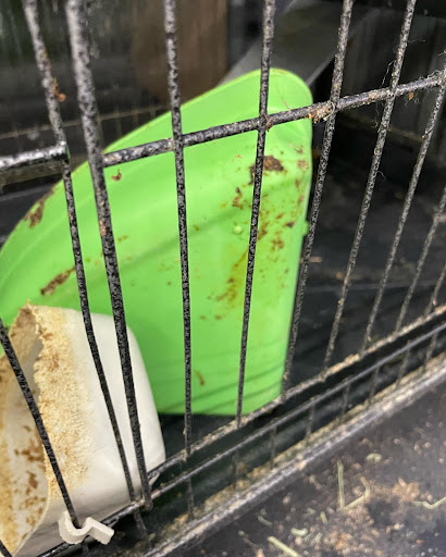 Pet Supply Store «Pet Supplies Plus», reviews and photos, 1380 W Lane Ave, Upper Arlington, OH 43221, USA