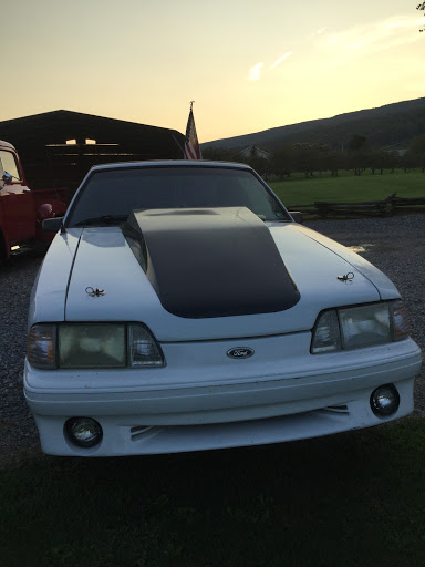 Car Dealer «Selinsgrove Ford», reviews and photos, 10 N Susquehanna Trail, Selinsgrove, PA 17870, USA