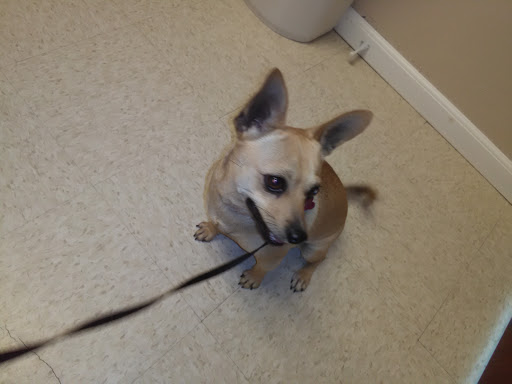 Animal Hospital «Animal Medical Corpus Christi», reviews and photos, 6822 Everhart Rd, Corpus Christi, TX 78413, USA