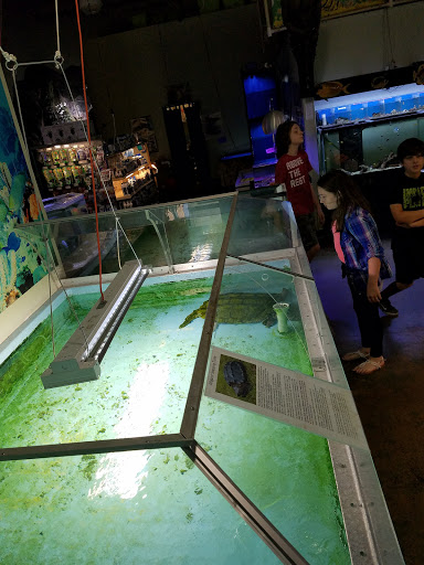 Pet Store «Incredible Pets Inc», reviews and photos, 2255 N Wickham Rd # 102, Melbourne, FL 32935, USA