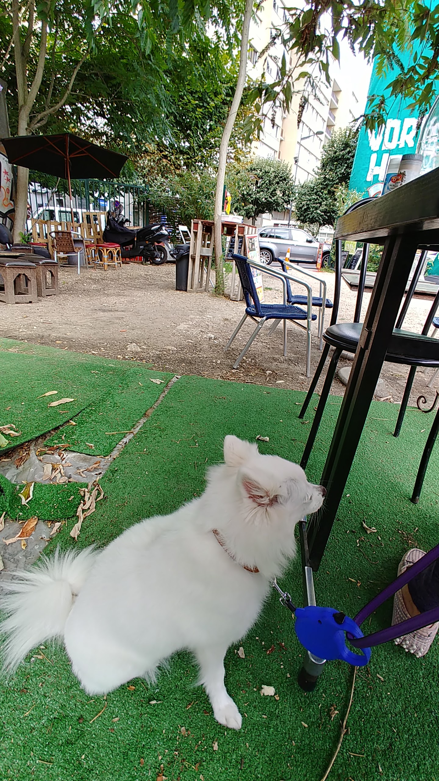 Photo n° 4 de l'avis de Coey.u fait le 13/08/2019 à 10:50