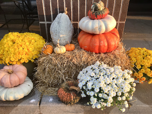 Coffee Shop «Travellers House Coffee and Tea», reviews and photos, 2151 W Republic Rd, Springfield, MO 65807, USA