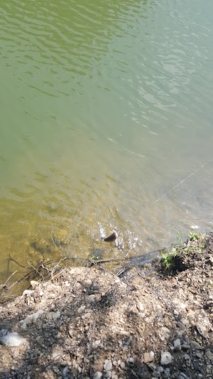 Temple Lake Park - photo 43