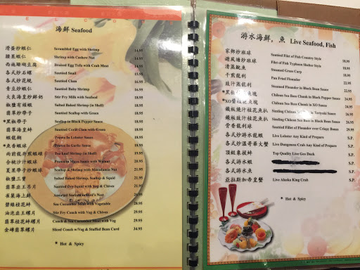 Cantonese Restaurant «Jade Asian Restaurant», reviews and photos, 136-28 39th Ave, Flushing, NY 11354, USA