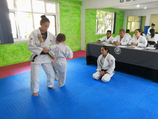 Karate Polanco UBK Mushinkai