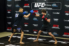 H2O MMA