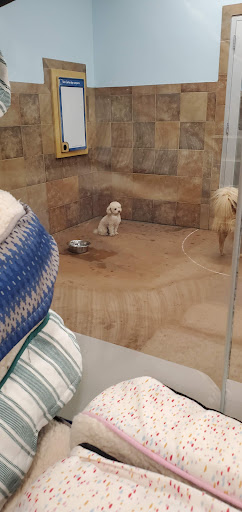 Pet Supply Store «PetSmart», reviews and photos, 1225 Industrial Rd, San Carlos, CA 94070, USA