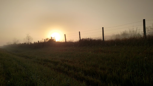 Golf Course «Sanlan Golf Course», reviews and photos, 2505 Sanlan Golf Dr, Lakeland, FL 33812, USA