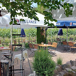 Photo n°5 de l'avis de Solid.o fait le 15/06/2021 à 21:20 sur le  Marienhof Weinstube-Restaurant à Venningen