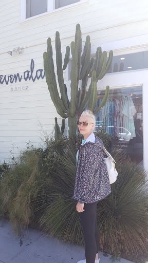Clothing Store «Steven Alan», reviews and photos, 1601 Abbot Kinney Blvd, Venice, CA 90291, USA