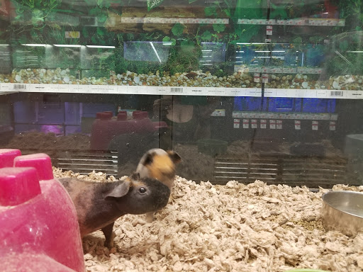 Pet Supply Store «Pet Supplies Plus», reviews and photos, 15034 San Pedro Ave Suite A, San Antonio, TX 78232, USA