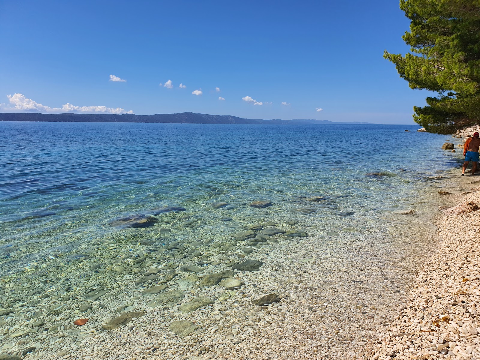 Foto de Djevicanska beach zona salvaje