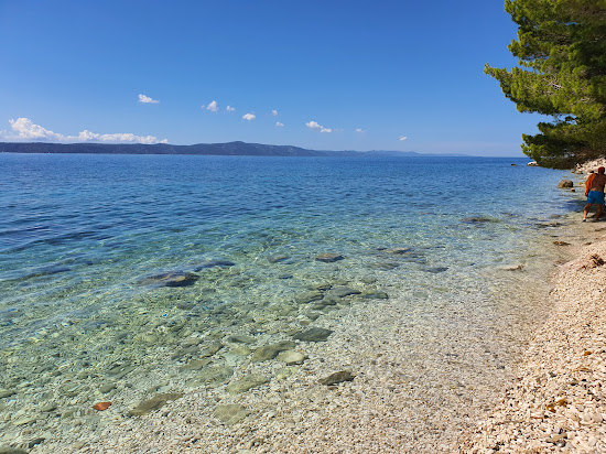 Djevicanska beach