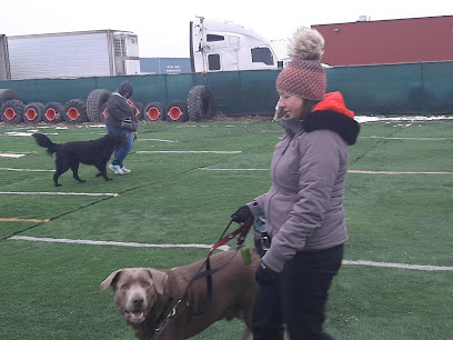 Dog Training with Tara Martice