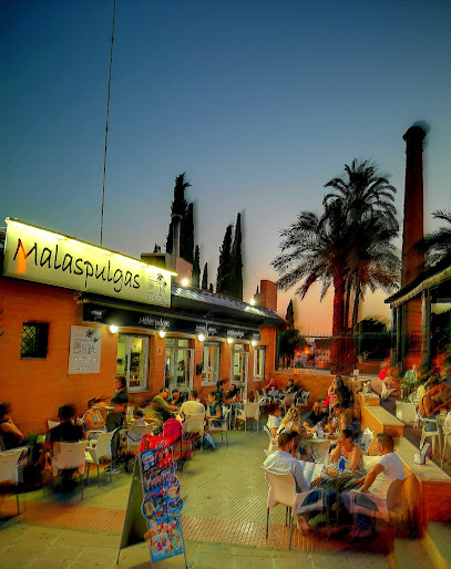 MALASPULGAS CAFé TAPAS