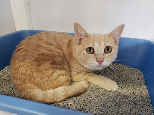 Pet Supply Store «Pet Supplies Plus», reviews and photos, 1258 Northlake Blvd, Lake Park, FL 33403, USA