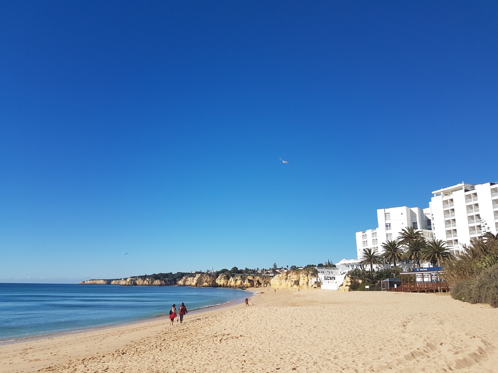 Photo of Vale do Olival and the settlement