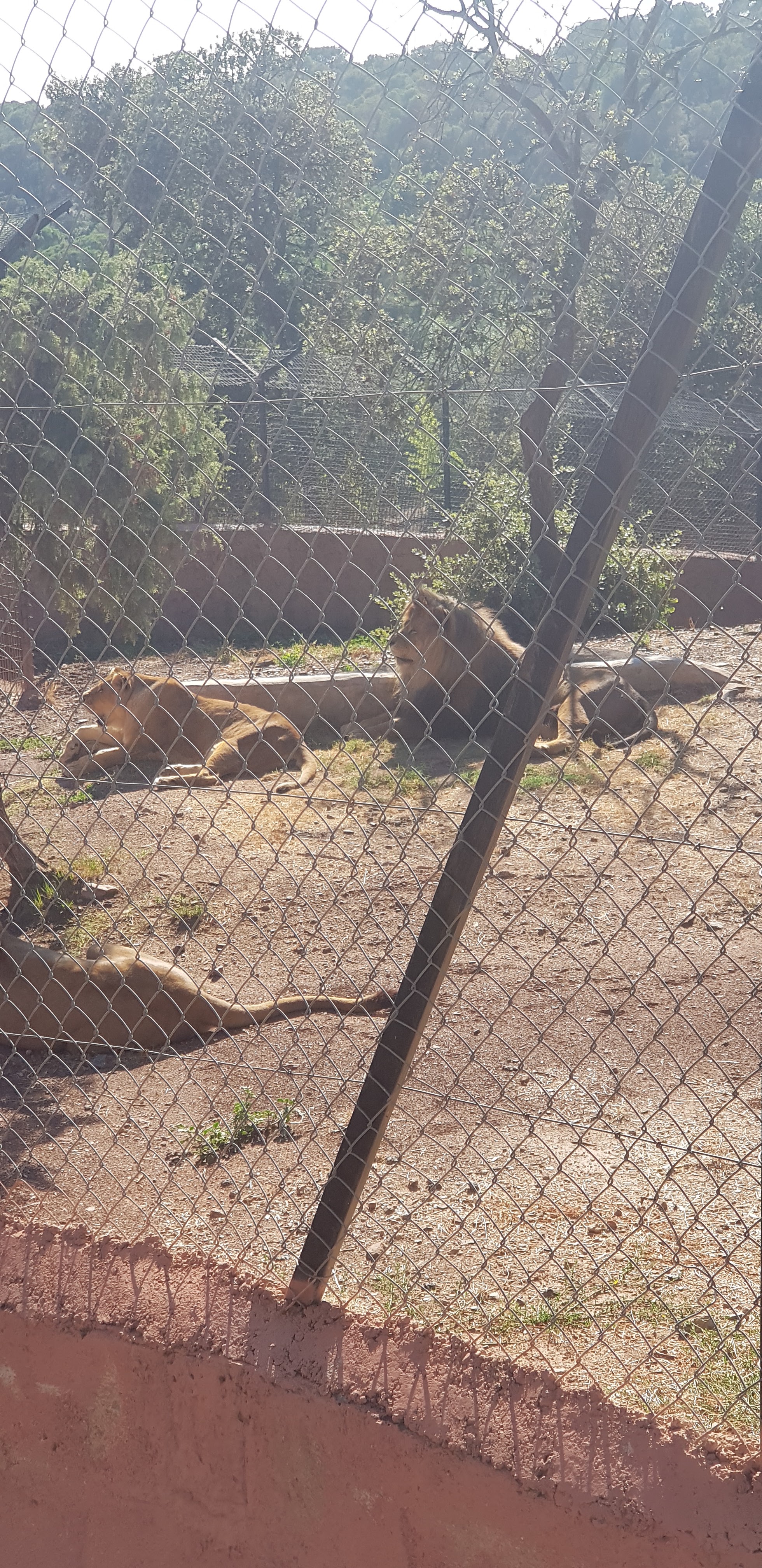 Photo n° 19 de l'avis de stephanie.a fait le 05/08/2018 à 15:29