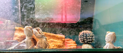 Pet Supply Store «Pet Supplies Plus», reviews and photos, 5315 Airport Hwy, Toledo, OH 43615, USA