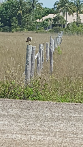 Golf Club «Old Marsh Golf Club», reviews and photos, 7500 Old Marsh Rd, Palm Beach Gardens, FL 33418, USA