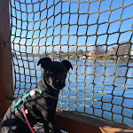 Photo n°1 de l'avis de Linda.e fait le 28/03/2023 à 08:04 sur le  SpreeArche - Exklusive Eventlocation à Berlin