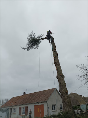 R. WOOD ACRO à Hattenville