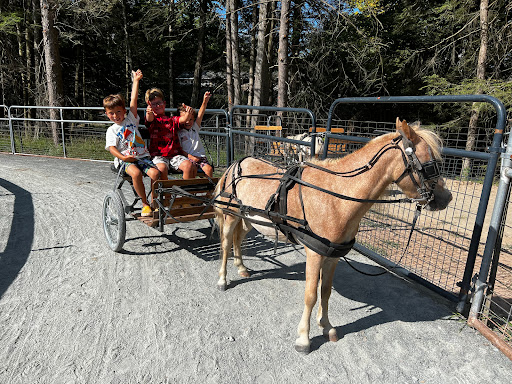 Zoo «The Petting Zoo at Breezeway Farm», reviews and photos, 161 Anawana Lake Road, Monticello, NY 12701, USA