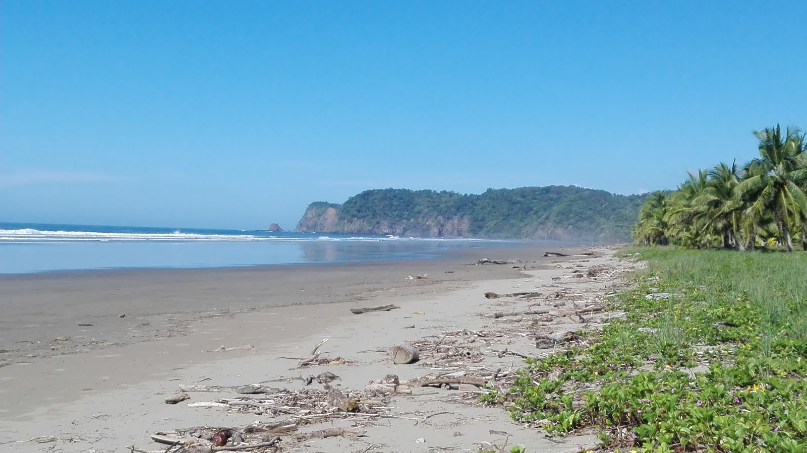 San Miguel Beach'in fotoğrafı ve yerleşim