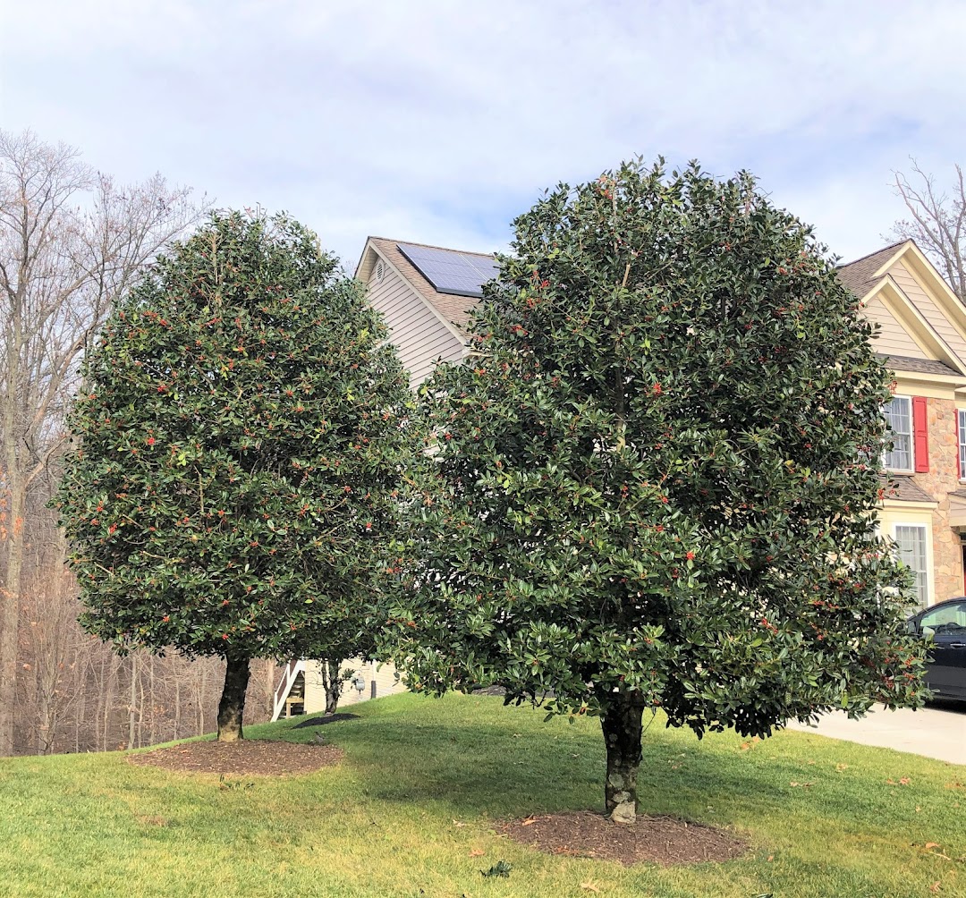 Greenleaf Tree Service