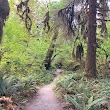 Spruce Nature Trail