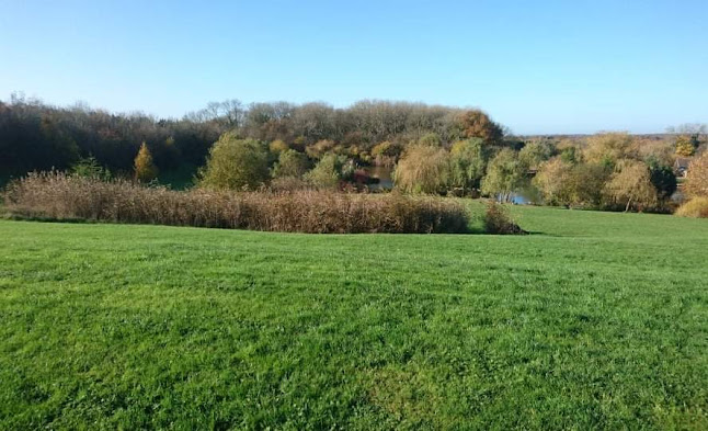 Comments and reviews of Flaxlands Fishery