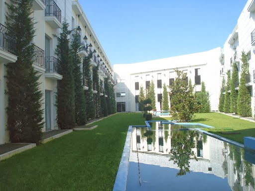 ΗΠΕΙΡΩΤΙΚΗ ΚΗΠΟΤΕΧΝΙΚΗ ΚΟΚΟΡΔΑΤΟΣ ΑΠΟΣΤΟΛΟΣ - Ιωάννινα