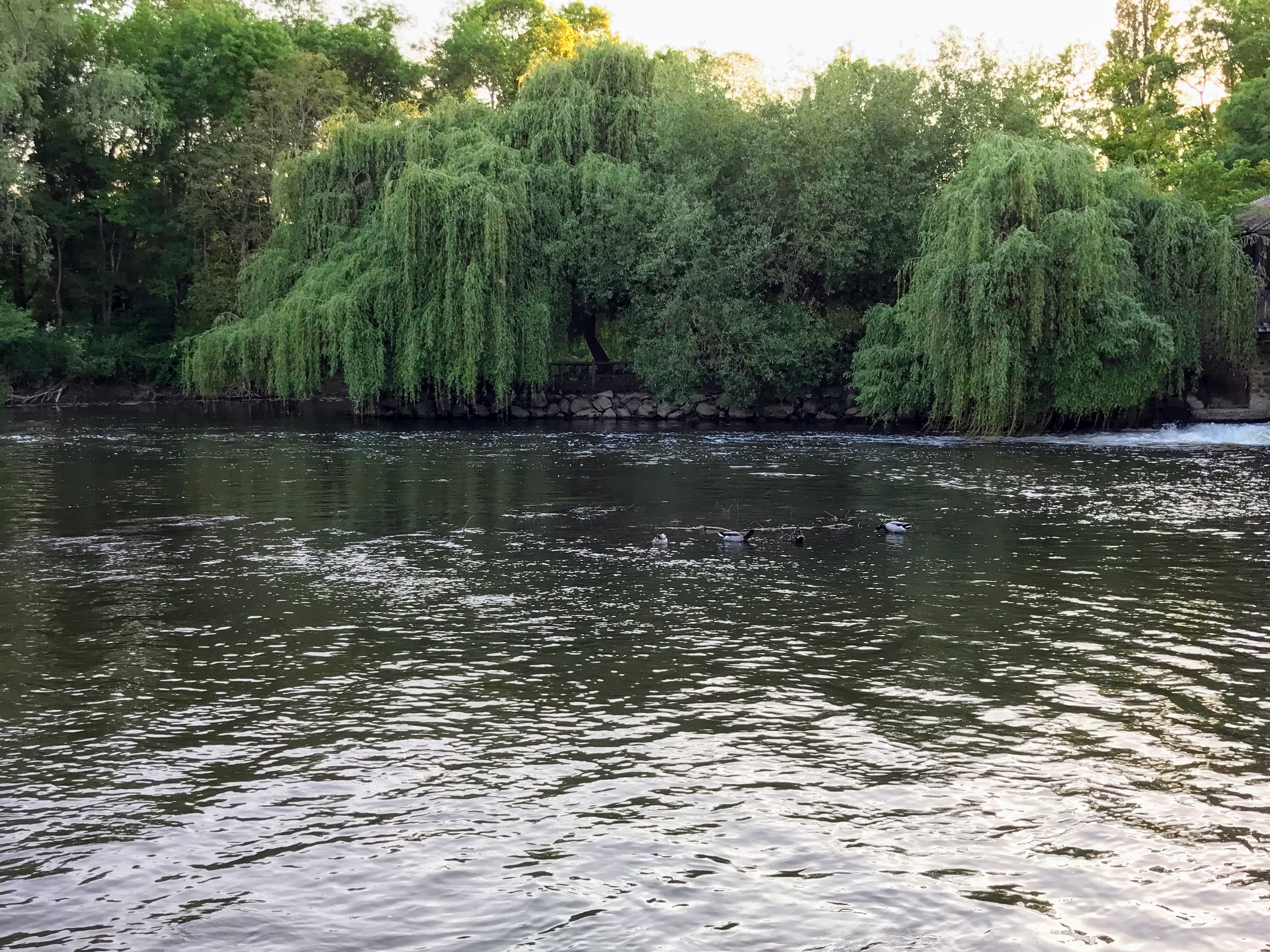 Photo n° 4 de l'avis de John.r fait le 12/05/2018 à 15:45