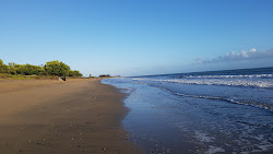 Zdjęcie Queens Beach położony w naturalnym obszarze