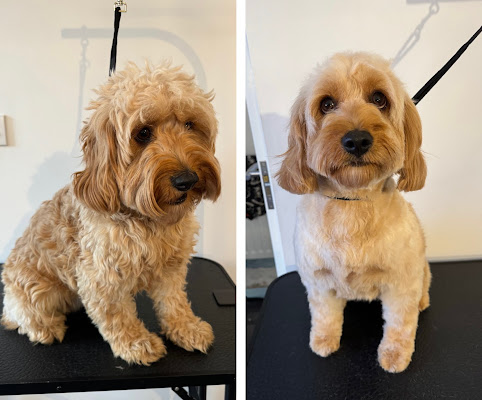 Fudgeï¿½s Grooming Parlour