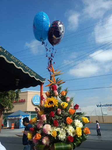 Prisma Floral – San Nicolás de los Garza