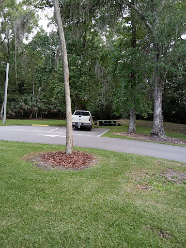 Park «Big Tree Park», reviews and photos, 761 General Hutchison Pkwy, Longwood, FL 32750, USA