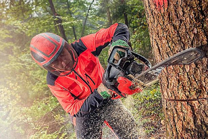 Solutions Tree Removal & Services