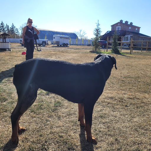 Valley Veterinary Clinic image