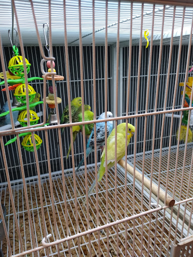 Pet Supply Store «Pet Supplies Plus», reviews and photos, 120 Sara Way, Belle Vernon, PA 15012, USA