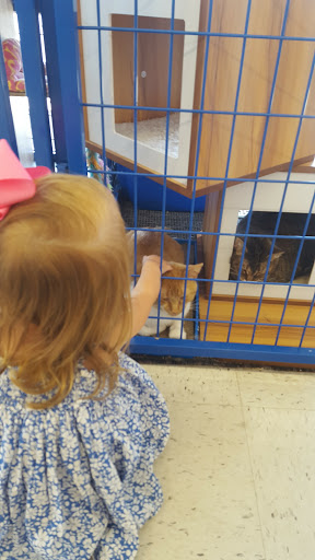 Pet Supply Store «Chow Hound Pet Supplies», reviews and photos, 518 N Beacon Blvd, Grand Haven, MI 49417, USA