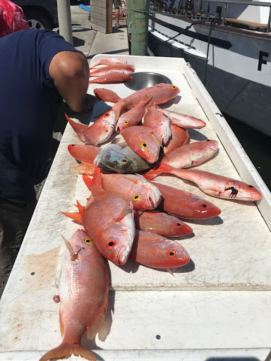 Fishing Charter «Flamingo Deep Sea Fishing», reviews and photos, 801 Seabreeze Blvd, Fort Lauderdale, FL 33316, USA