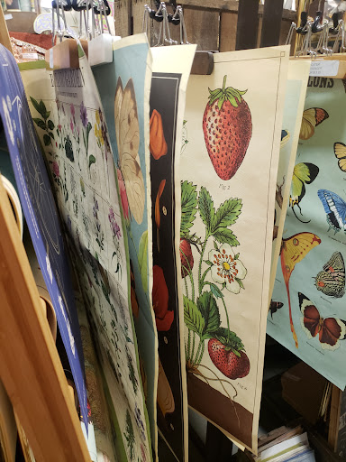 Thrift Store «Second Chances Thrift Store», reviews and photos, 49 Glendale Ave, Asheville, NC 28803, USA