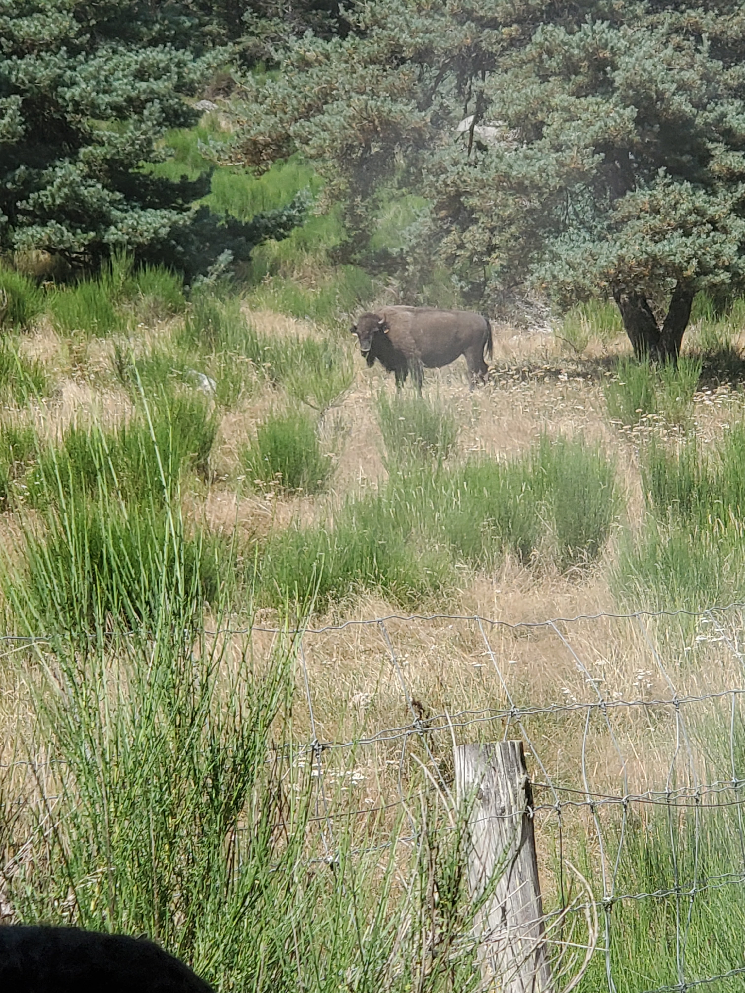 Photo n° 1 de l'avis de Thomas.u fait le 27/08/2023 à 12:24