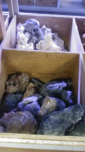 Tropical Fish Store «Fishland», reviews and photos, 13155 Westheimer Rd #114, Houston, TX 77077, USA