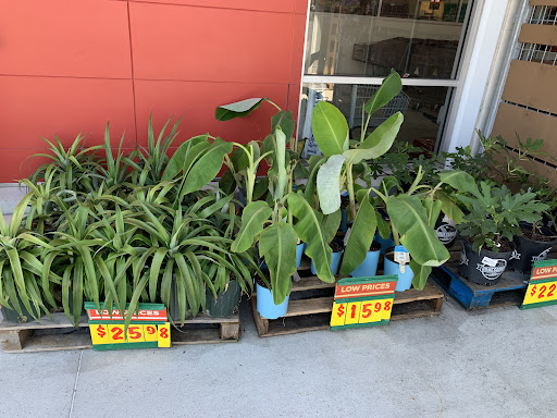 Grocery Store «H-E-B Grocery», reviews and photos, 20311 Champion Forest Dr, Spring, TX 77379, USA