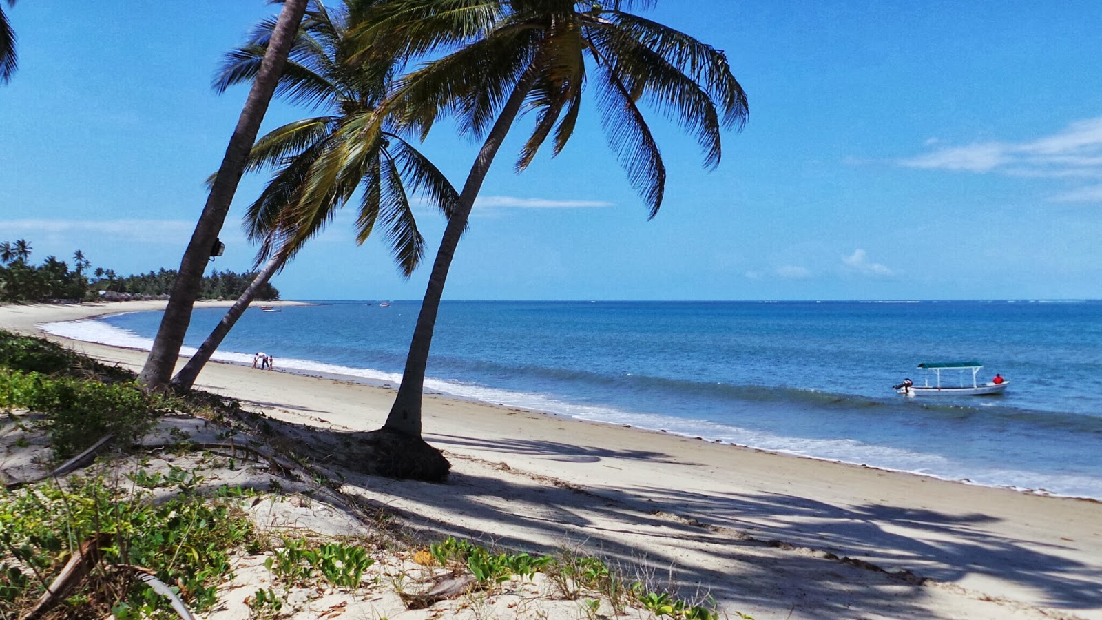 Fotografie cu Ushongo Beach cu o suprafață de nisip strălucitor