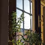 Photo n°18 de l'avis de alessandro.a fait le 06/01/2024 à 22:14 sur le  Fienili Osteria à Fienili