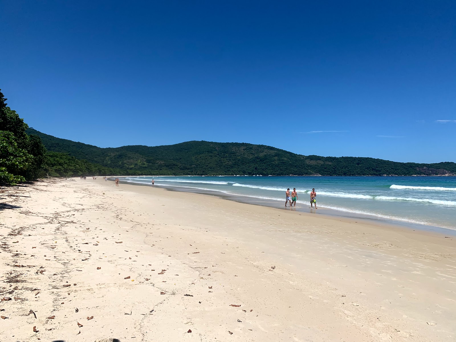 Fotografija Plaža Lopes Mendes z svetel fin pesek površino