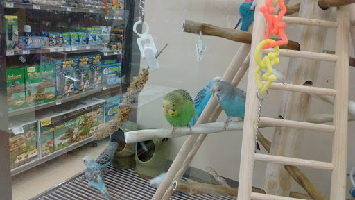 Pet Supply Store «Petco Animal Supplies», reviews and photos, 877 Central Ave, Dover, NH 03820, USA